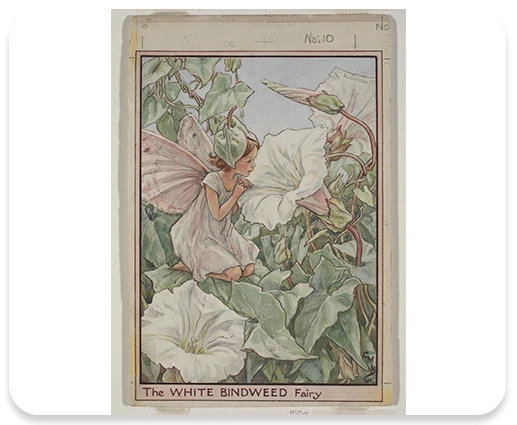  Developing the Release FF